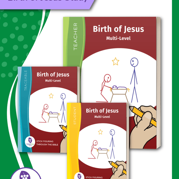 Birth of Jesus Bible Study Printed Books