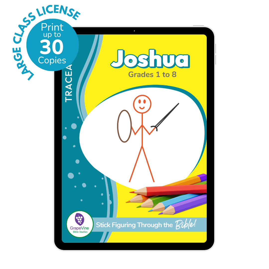 Joshua eBook - Traceable Large Class