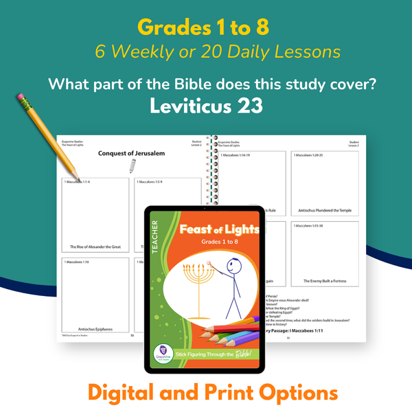 The Feast of Lights Student eBook - Small Class