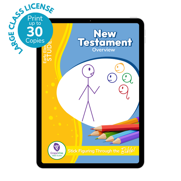 Early Elementary Student eBook - Large Class
