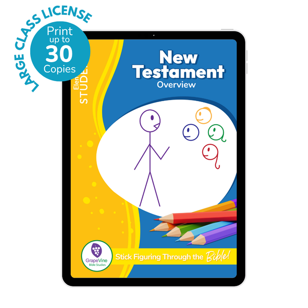 Elementary Student eBook - Large Class