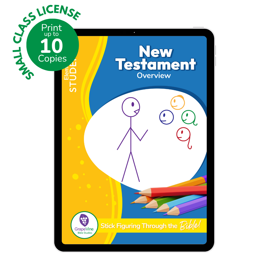 Elementary Student eBook - Small Class
