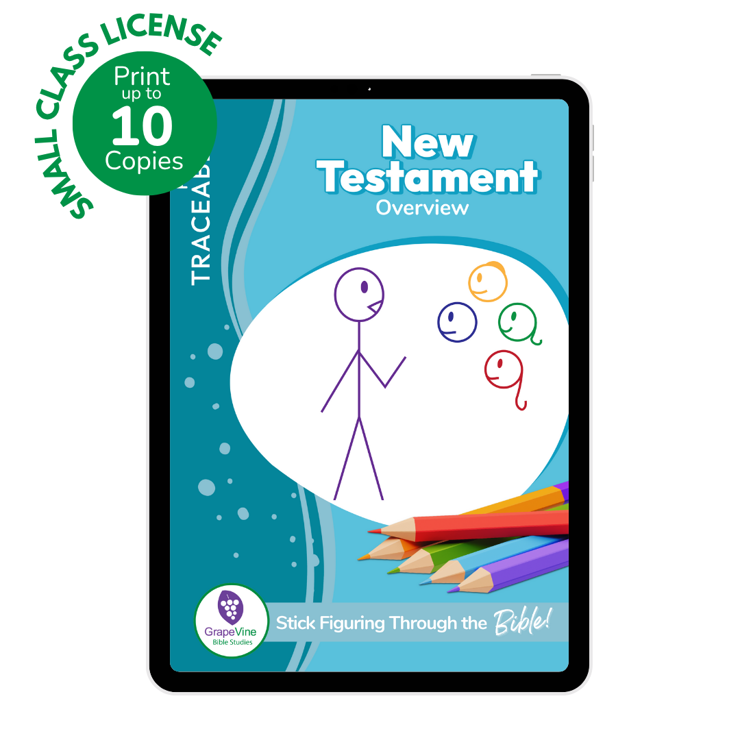 Trace Student eBook - Small Class