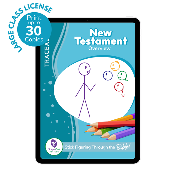 Trace Student eBookk - Large Class