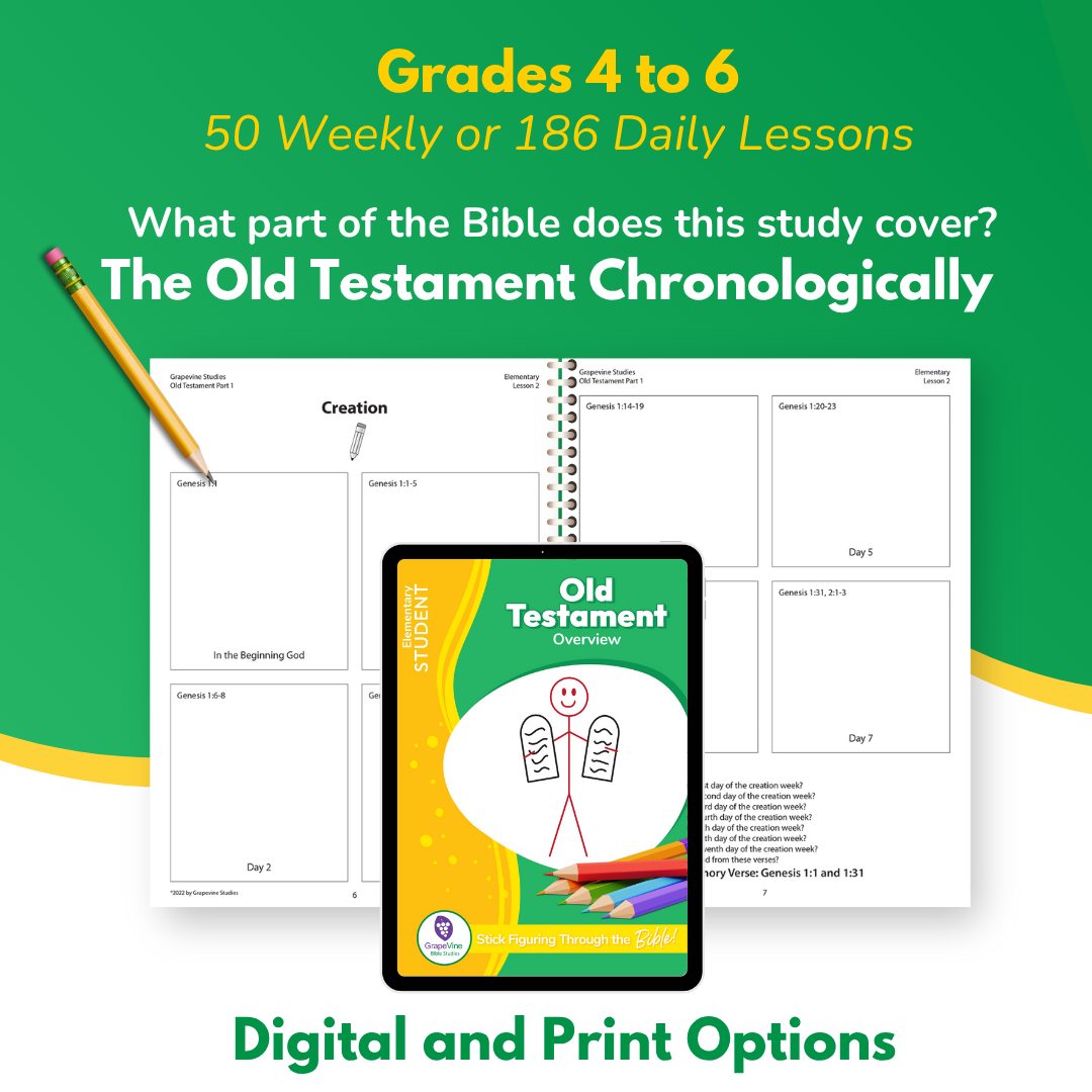 Elementary Student eBook - Small Class