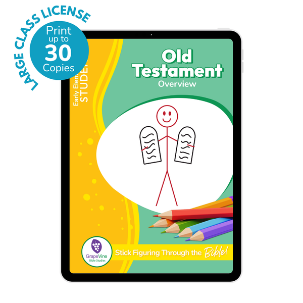 Early Elementary Student eBook - Large Class