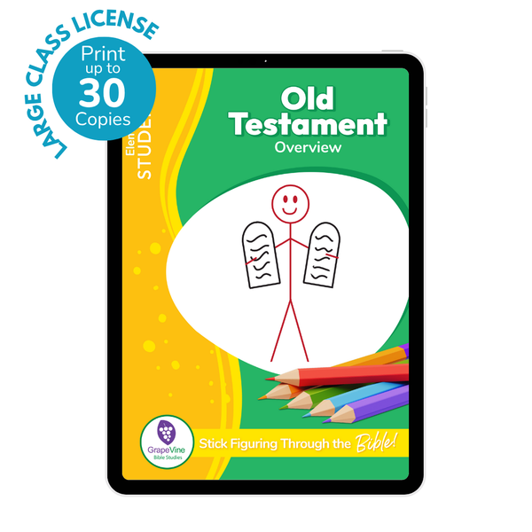 Elementary Student eBook - Large Class