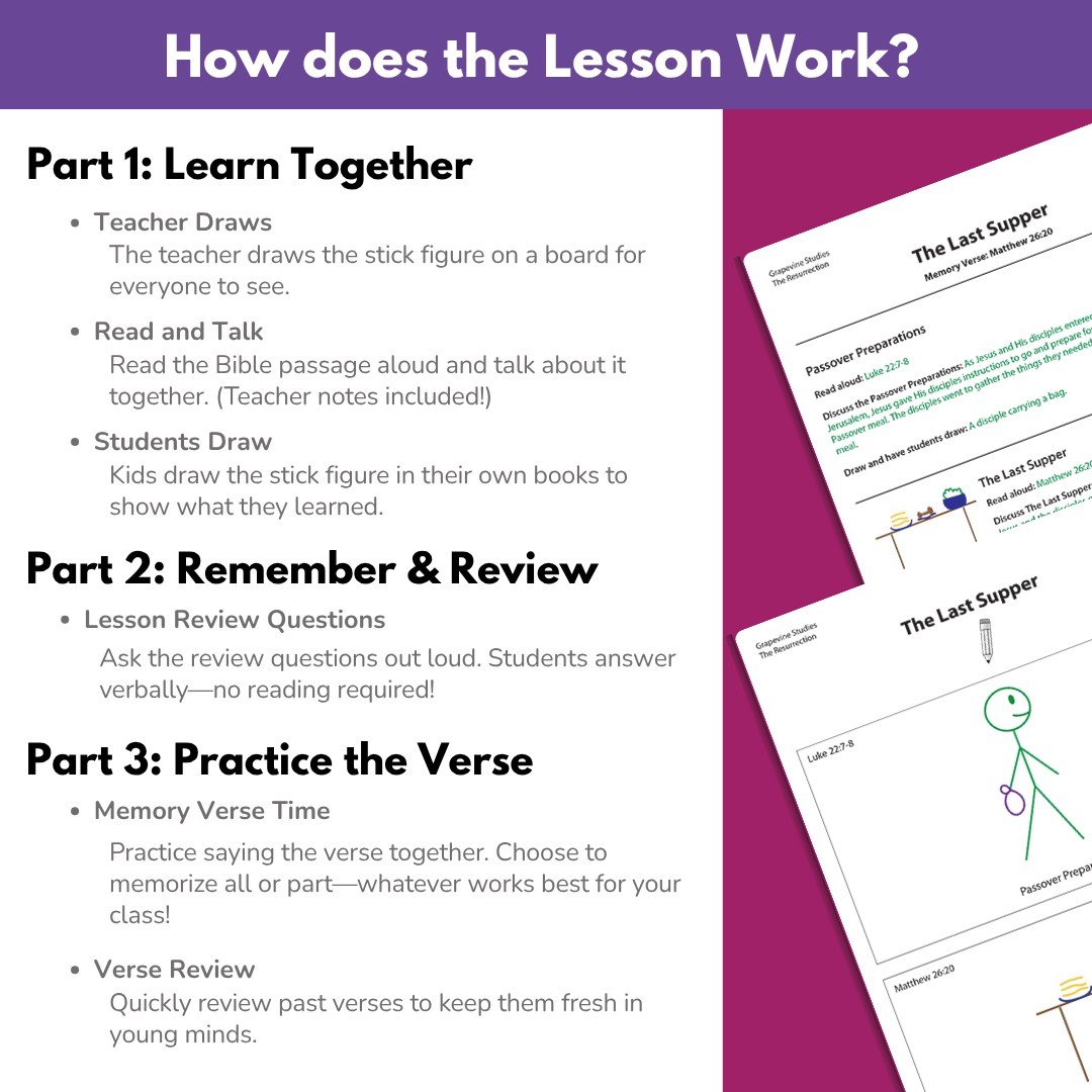 Student eBook - Large Class
