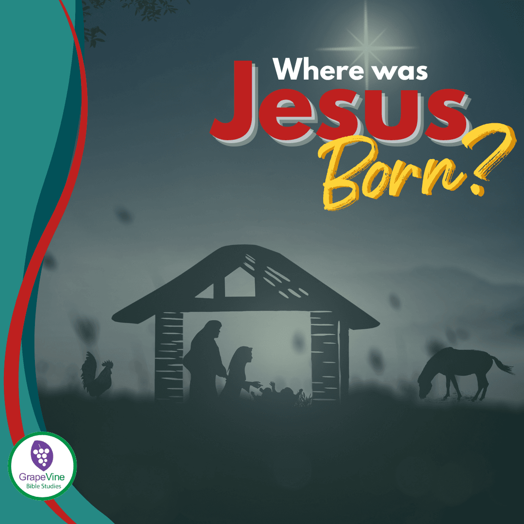 See Where Jesus was Born?