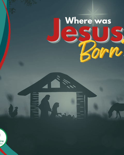 See Where Jesus was Born?