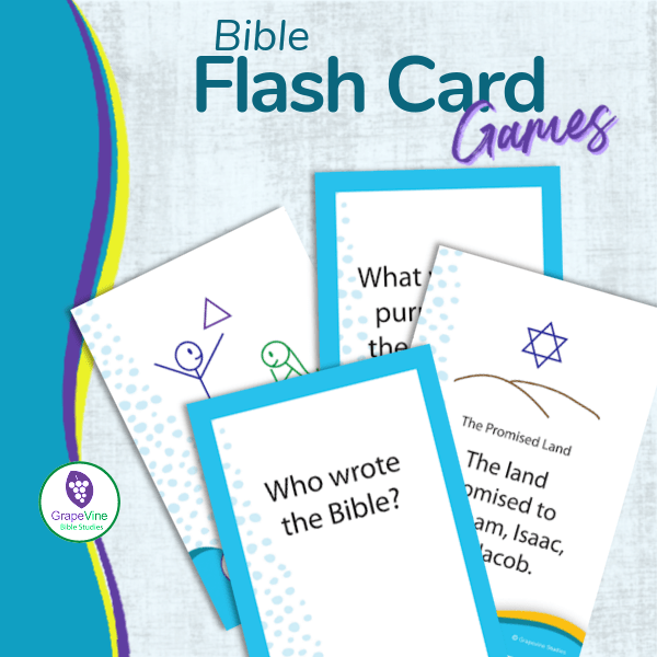 Bible Flash Cards Games