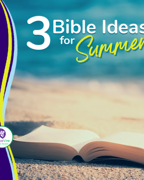 3 Bible Study Ideas for Summer