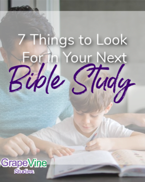 7 Things to Look for in Your Next Bible Study