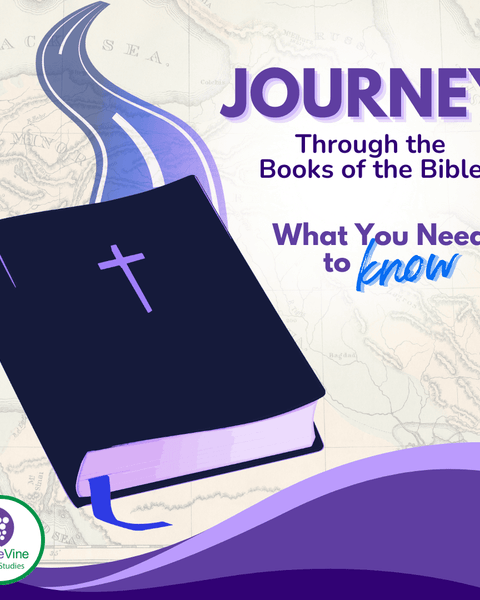 Journey through the Books of the Bible: What You Need to Know