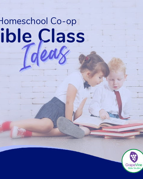 Explore Homeschool Co-op Bible Class Ideas