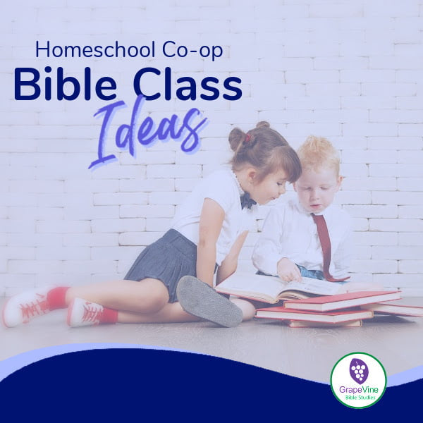 Explore Homeschool Co-op Bible Class Ideas