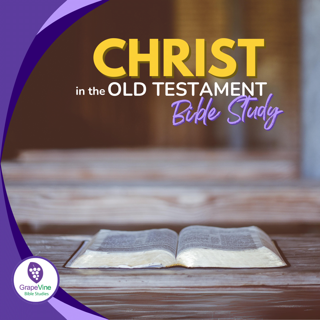 Christ in the Old Testament Bible Study