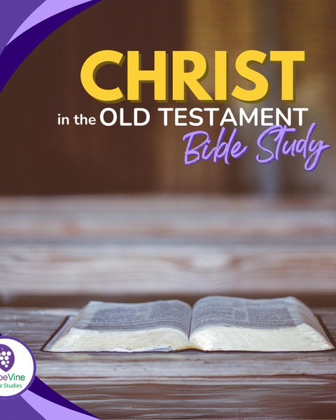 Christ in the Old Testament Bible Study