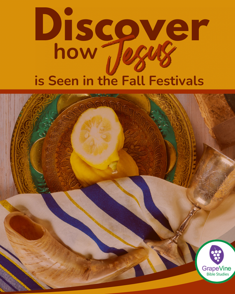 Discover How Jesus is Seen in the Fall Feasts
