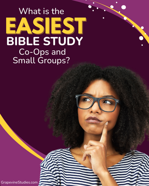 What Is the Easiest Bible Study for Co-Ops and Small Groups