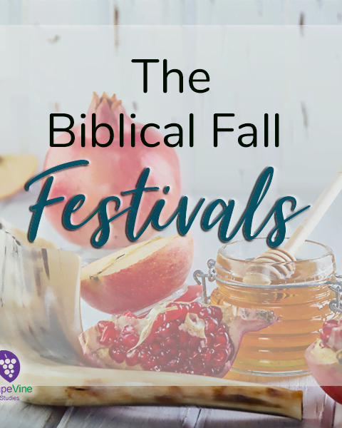 The Biblical Fall Festivals 2021