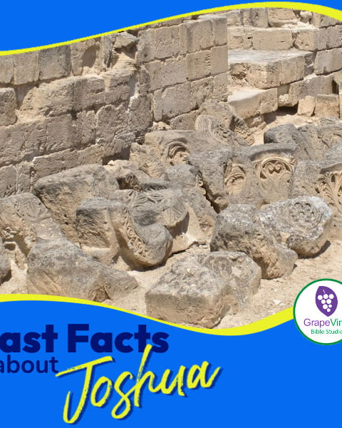 Dive into the Life of Joshua and Discover New Facts