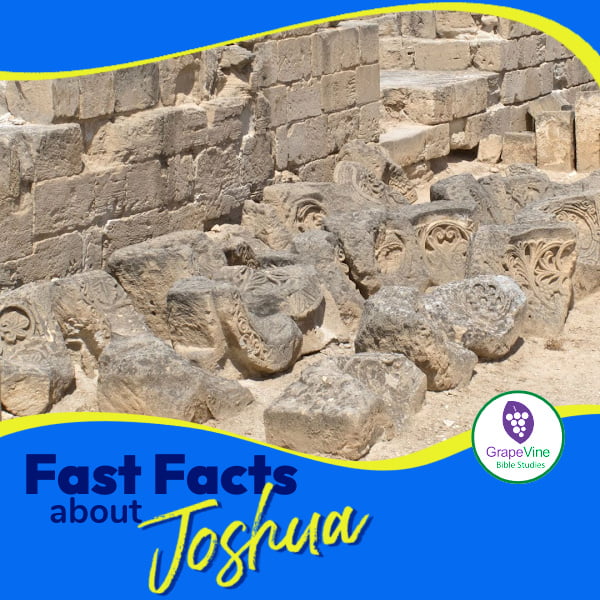 Dive into the Life of Joshua and Discover New Facts – Grapevine Studies