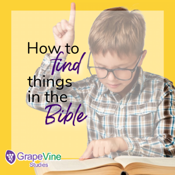How to Find Something in the Bible