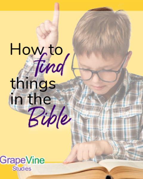 How to Find Something in the Bible