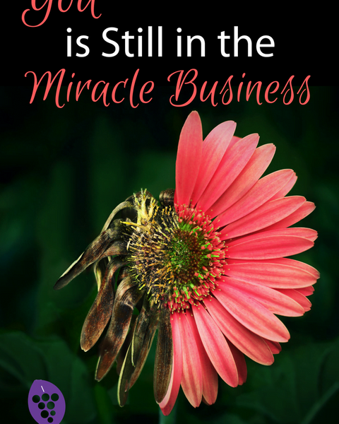 God is Still in the Miracle Business