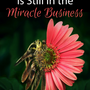God is Still in the Miracle Business