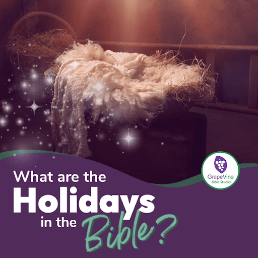 What Are the Holidays in the Bible?
