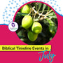 Bible Calendar and Timeline Events for July 2024