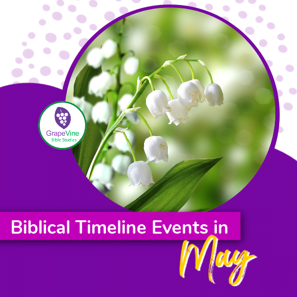 Bible Timeline Events in May 2023