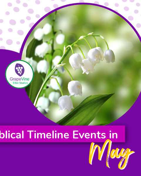 Bible Timeline Events in May 2023