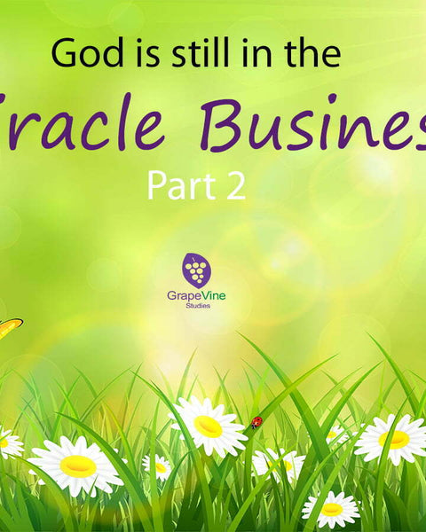 God is Still in the Miracle Business – Part 2
