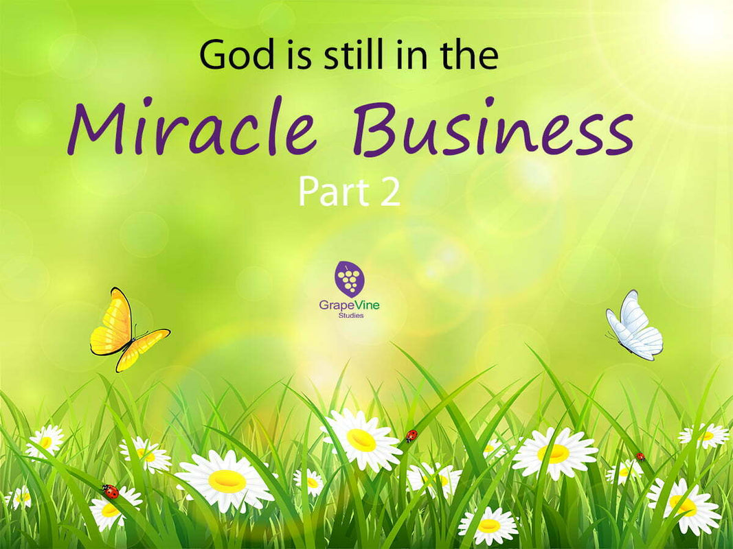 God is Still in the Miracle Business – Part 2