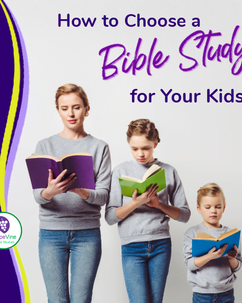 How to Choose a Bible Study for Kids