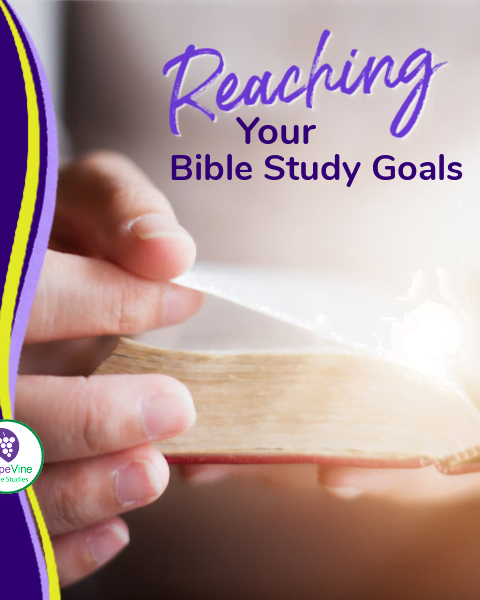 5 Steps for Reaching Your Bible Study Goals