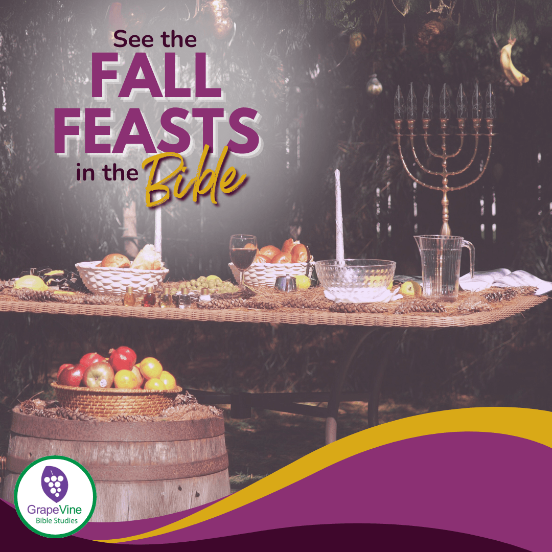See the Fall Feasts in the Bible