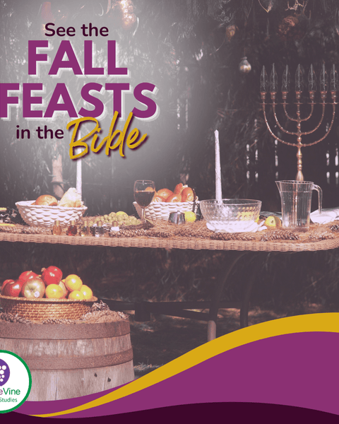 See the Fall Feasts in the Bible
