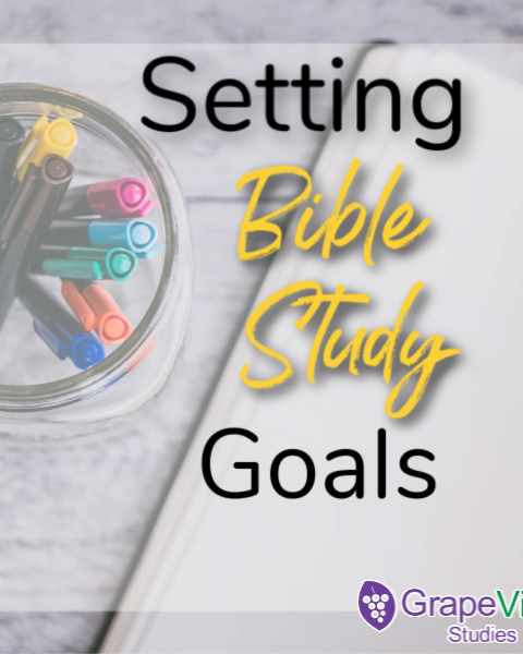 4 Tips for Setting Your Bible Study Goals in 2020