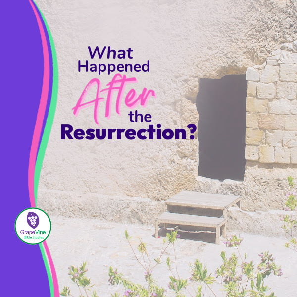 What happened after the Resurrection?