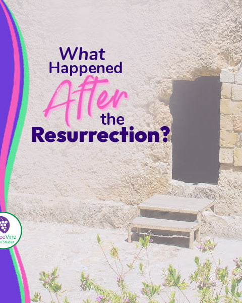 What happened after the Resurrection?