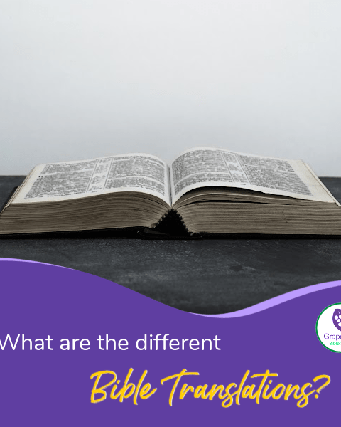 What are the Different Bible Translations?