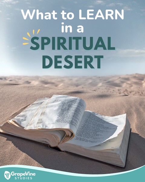 What to learn in a Spiritual Desert