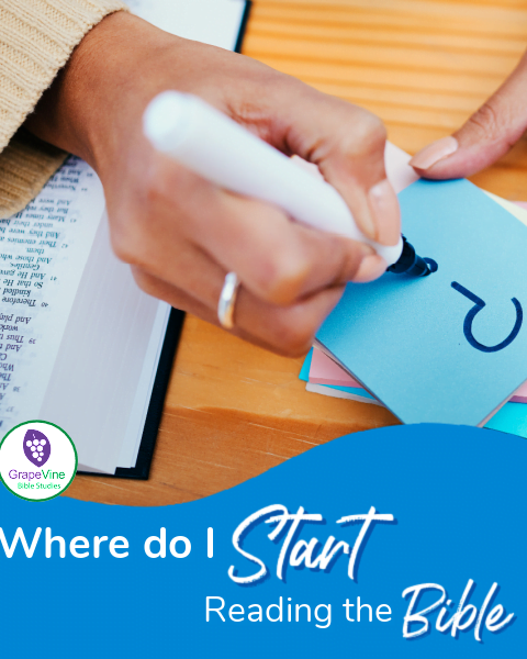 Where do I Start Reading the Bible?