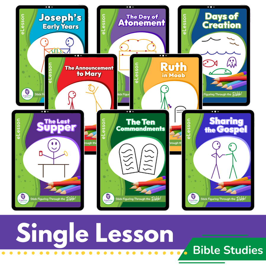 Single Lessons