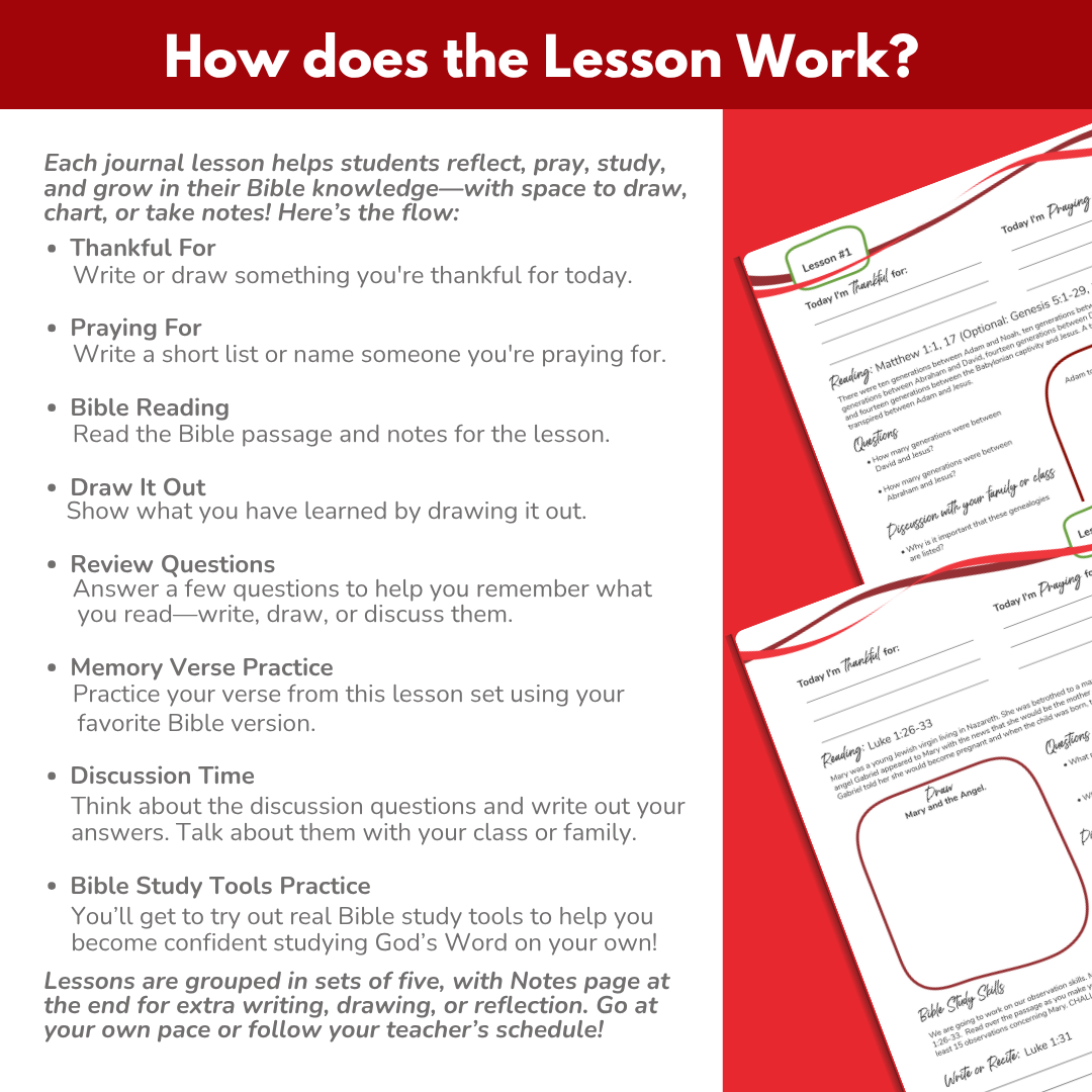 Elementary to Middle School eBook -Large Class