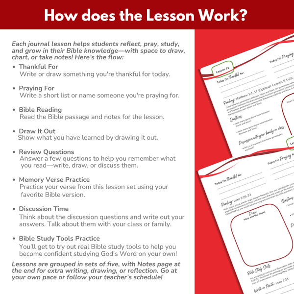 Elementary to Middle School eBook -Large Class